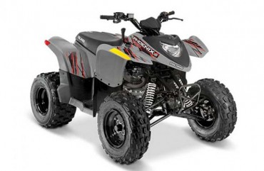 Polaris Phoenix 200