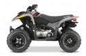 Polaris Phoenix 200