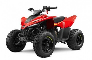 CFMOTO CFORCE 110