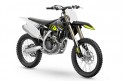 Triumph TF 250-X