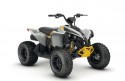 Can-Am Renegade 110 EFI