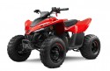 CFMOTO CFORCE 110