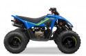 CFMOTO CFORCE 110