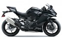 Kawasaki NINJA ZX-4R