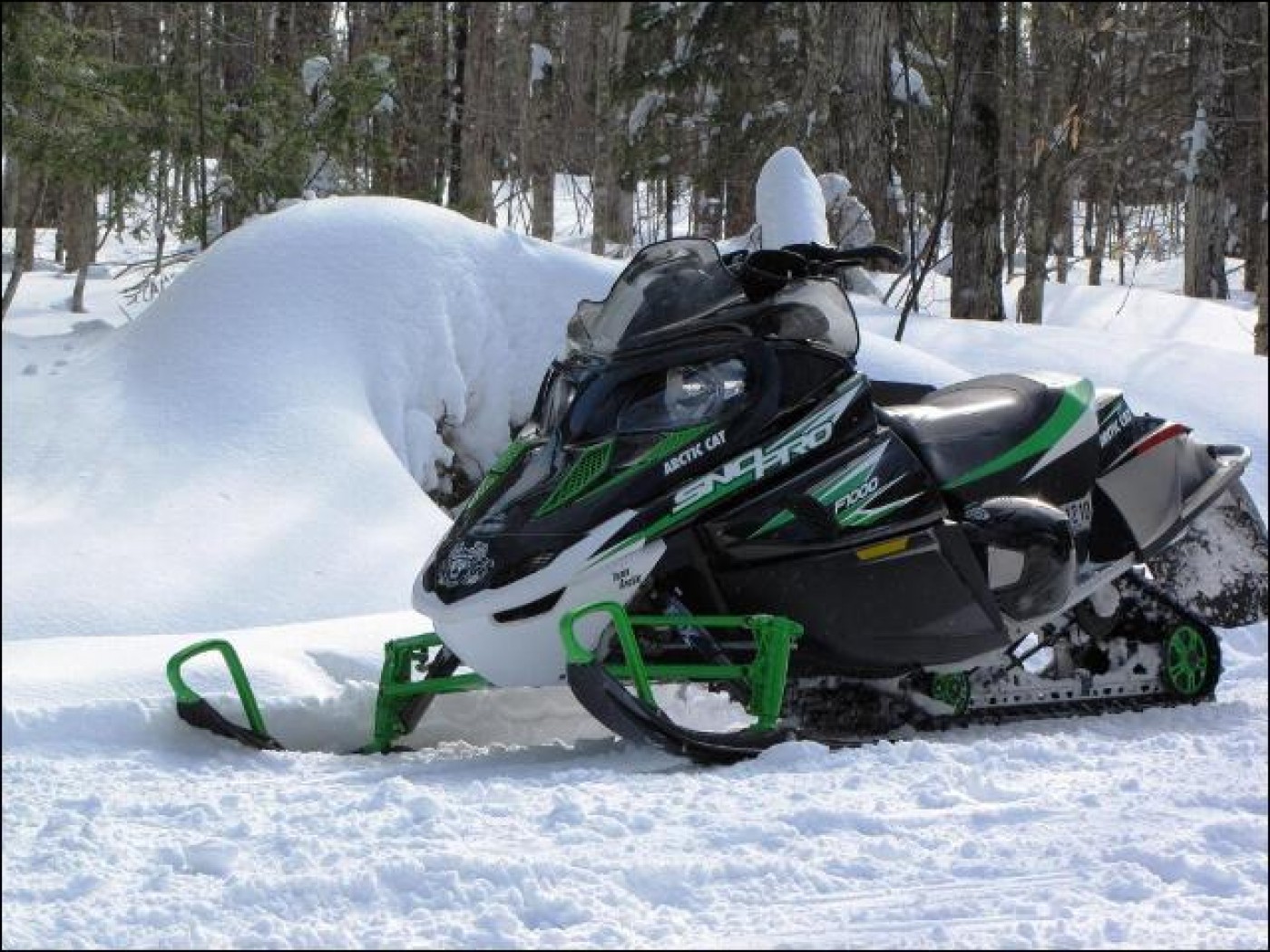 Arctic Cat F 1000 Sno Pro 