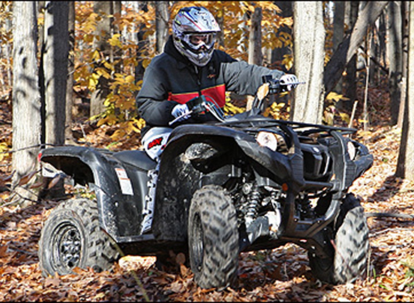 Yamaha Grizzly 550EPS 2009